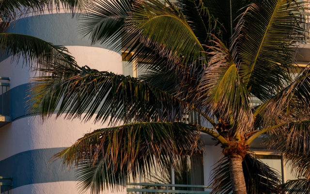 exterior of hotel building with palm trees