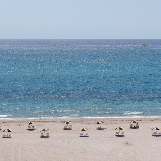 yellow and blue beach umbrellas on the beach