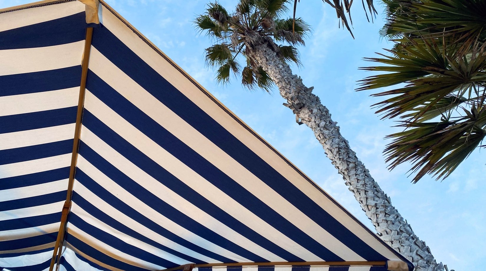 A large beach umbrella seen from below with blue and white stripes under palm trees in the afternoon