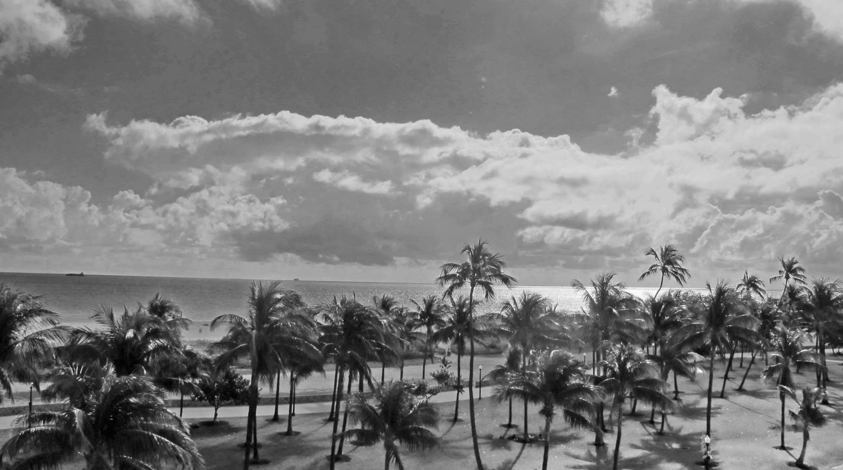Miami's South Beach in black and white, with clouds and palm trees.
