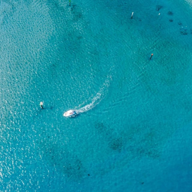 A person snorkelling on the sea at West Palm Beach