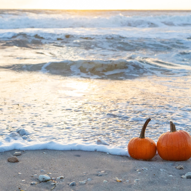 pumpkins on the beach
