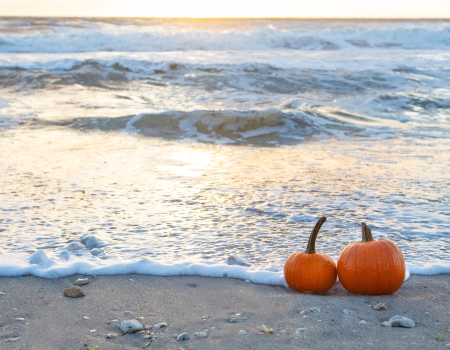 pumpkins on the beach